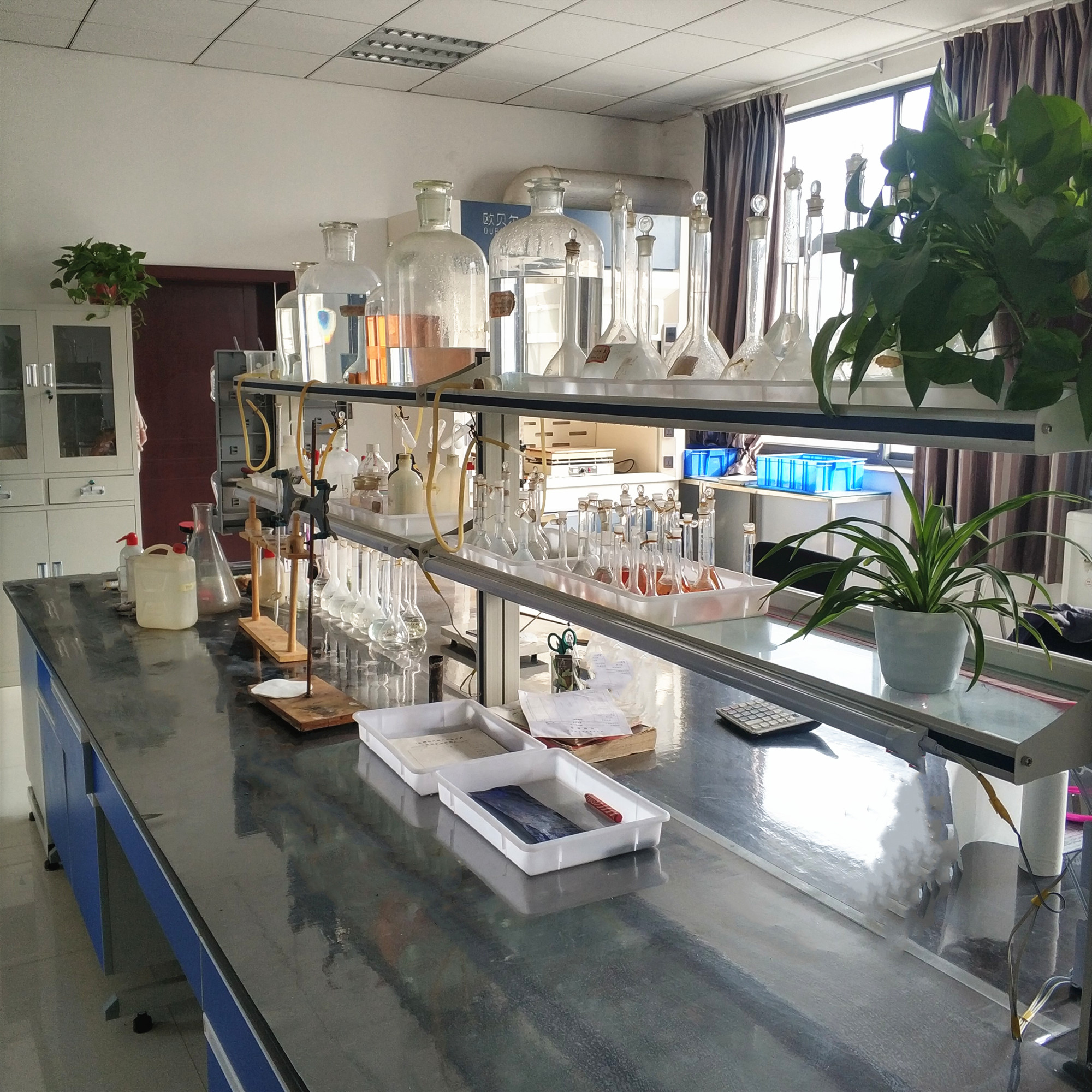 ���W(xu��)�����z�y(c��)